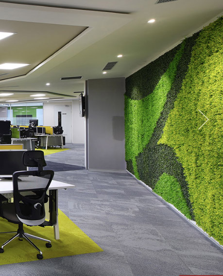 Biophilic or Environment Friendly design