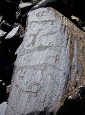 Petroglyph of a deer or pronghorn pierced by a spear